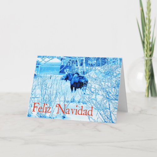 Feliz Navidad _ Urban Moose Holiday Card