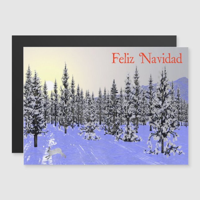 Feliz Navidad - Winter Solstice (Front/Back)