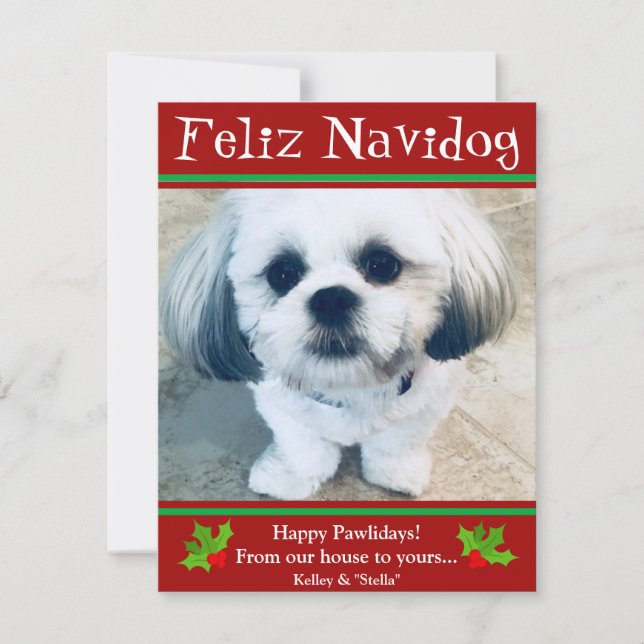 Feliz Navidog Dog Christmas Funny Photo Card (Front)