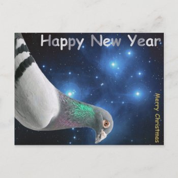 Feliz New Year Holiday Postcard by naturanoe at Zazzle