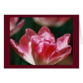 "Fellowship On The Path" (Front Horizontal)