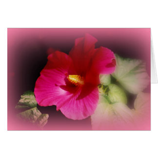 "Fellowship On The Path"