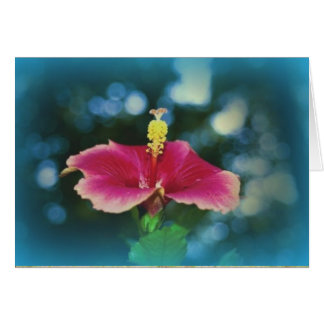 "Fellowship On The Path" Cards