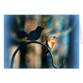 "Fellowship On The Path" Cards