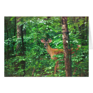 "Fellowship On The Path" Cards