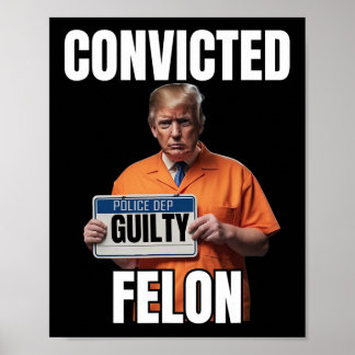 Felon Donald Trump 2024  Poster