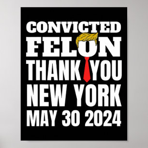 Felon Trump Hair Tie Thank You Ny New York 5-30-24 Poster