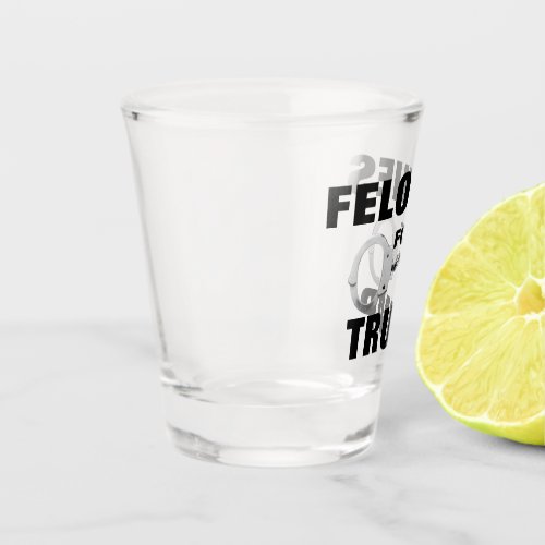 Felonies For Trump Shot Glass