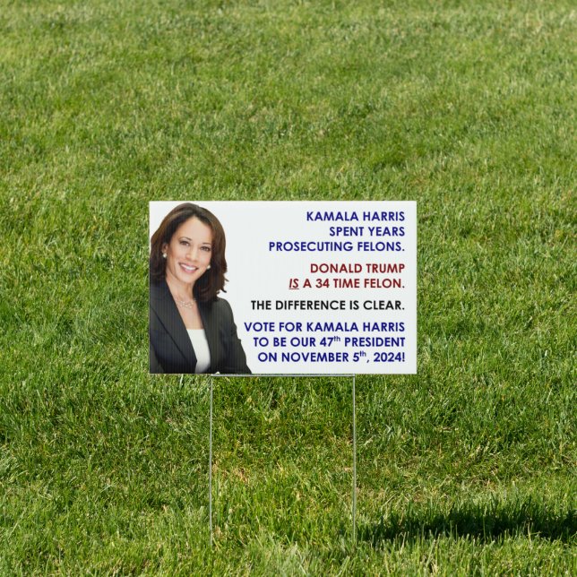 FELONS SIGN (Insitu)
