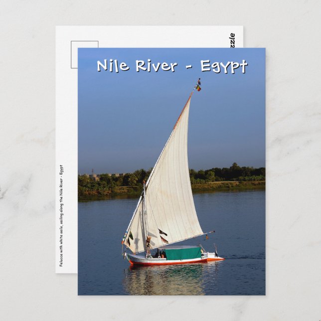 Felucca sailing along the Nile - Aswan, Egypt Postcard (Front/Back)