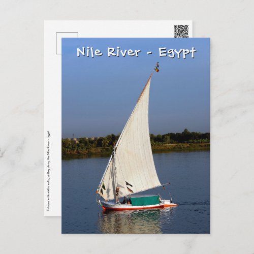 Felucca sailing along the Nile _ Aswan Egypt Postcard