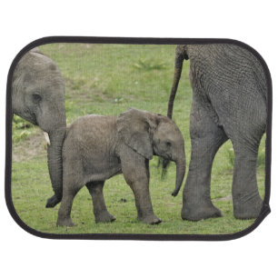 Female African Elephant with Baby Car Floor Mat