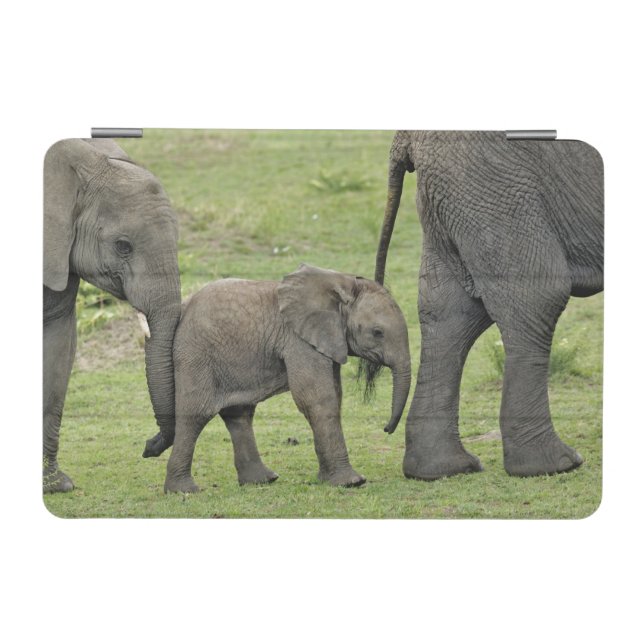 Female African Elephant with Baby iPad Mini Cover (Horizontal)