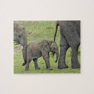 Female African Elephant with Baby Jigsaw Puzzle