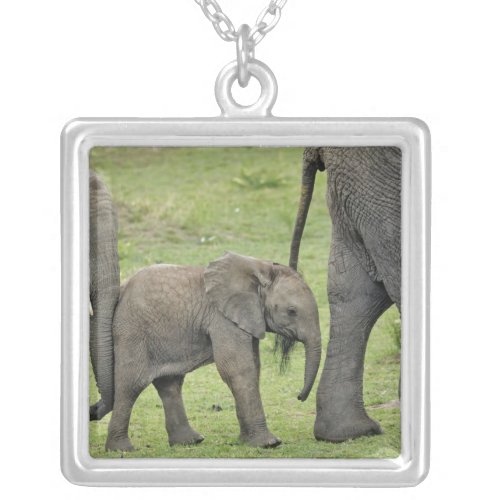 Female African Elephant with baby Loxodonta 3 Silver Plated Necklace