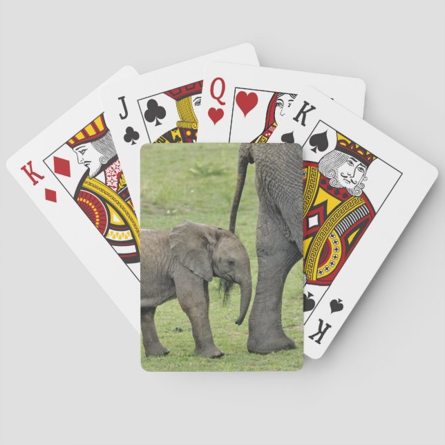 Female African Elephant with Baby Poker Cards (Back)