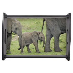 Female African Elephant with Baby Serving Tray