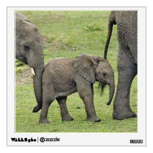 Female African Elephant with Baby Wall Sticker