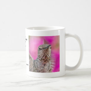 Female Anna's Hummingbird Mug