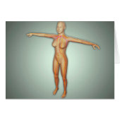 Female Arteries, Veins, & Nervous System (Front Horizontal)