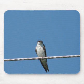 Female Barn Swallow Mouse Pad