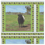 Female Belted Galloway Cow Framed, Fabric