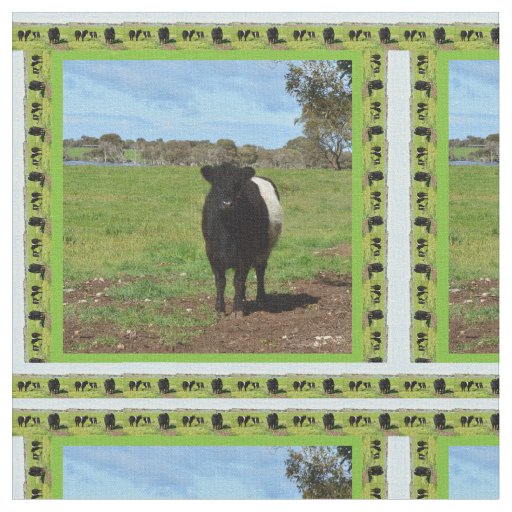 Female Belted Galloway Cow Framed, Fabric