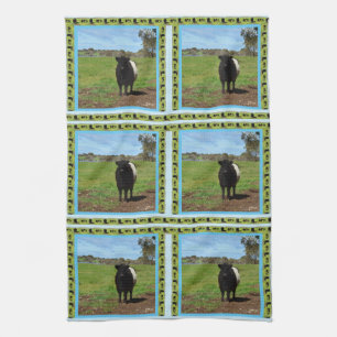 Female Belted Galloway Cow, Kitchen Towel
