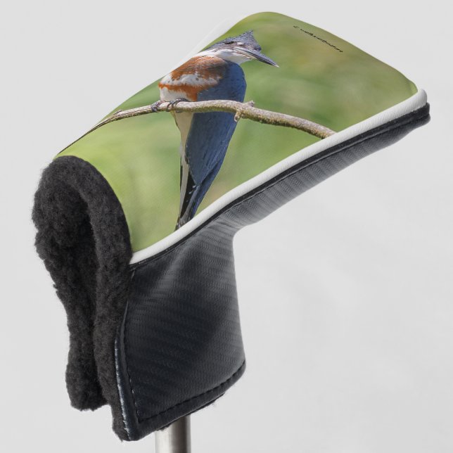 Female Belted Kingfisher Out on a Limb Golf Head Cover (3/4 Front)