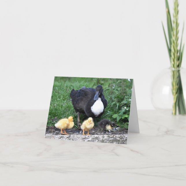 Female Blue Swedish Duck with Ducklings Card (Front)