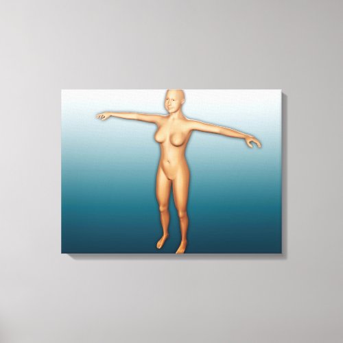 Female Body With Arms Extended Canvas Print