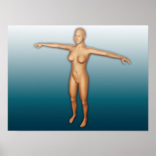 Female Body With Arms Extended Poster