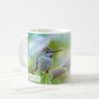 Female Broad-tailed Hummingbird Psalm 70:4 KJV