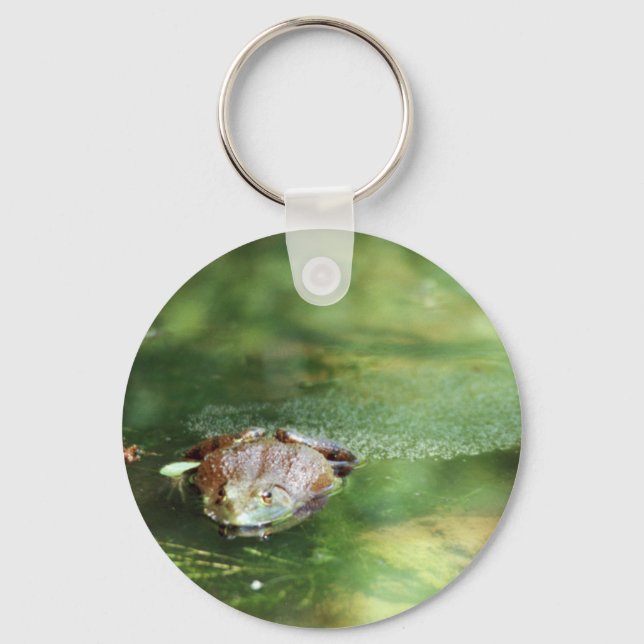 Female Bullfrog Laying Eggs Keychain (Front)