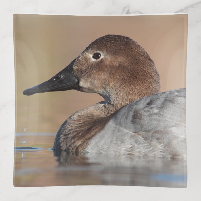 Female Canvasback duck Profile Trinket Tray (Front)