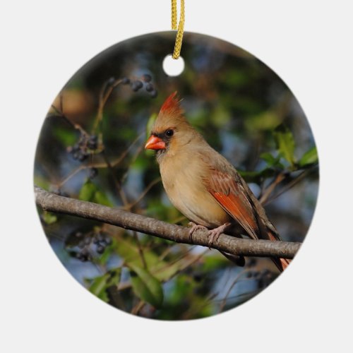 Female Cardinal 4 Ceramic Ornament