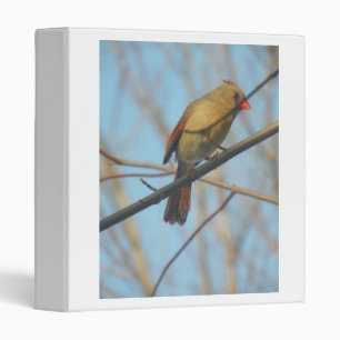 Female Cardinal/Bird 3 Ring Binder