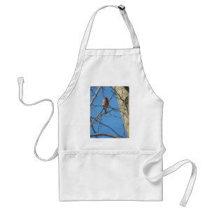 Female Cardinal Bird Adult Apron
