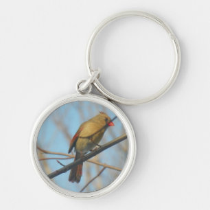 Female Cardinal/Bird Keychain