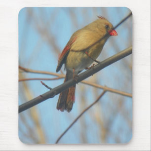 Female Cardinal/Bird Mouse Pad