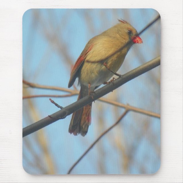 Female Cardinal/Bird Mouse Pad (Front)