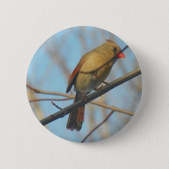 Female Cardinal/Bird Pinback Button (Front)