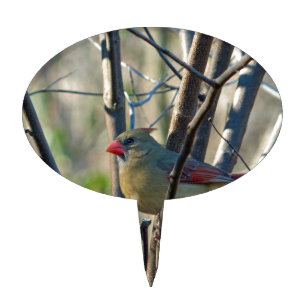 Female Cardinal Cake Topper