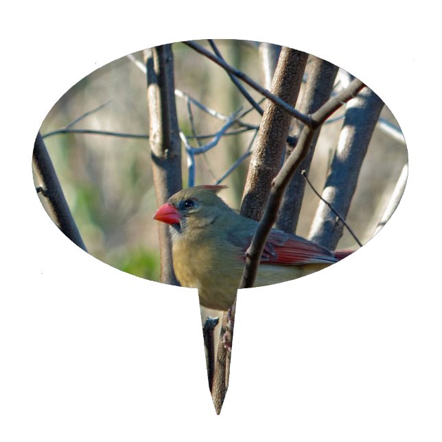 Female Cardinal Cake Topper (Front)