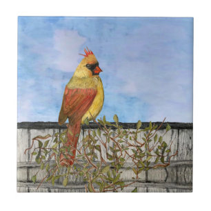 Female Cardinal Ceramic Tile