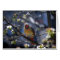 Female Cardinal in Flowering Pear Tree Card