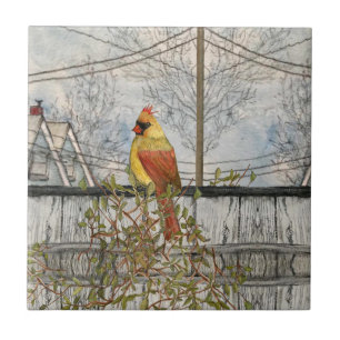 Female Cardinal in the City Ceramic Tile