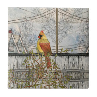 Female Cardinal in the City Ceramic Tile