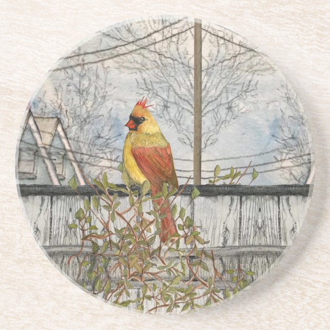 Female Cardinal in the City Sandstone Coaster (Front)