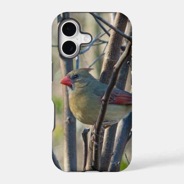 Female Cardinal Iphone Case (Back)